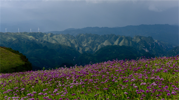 摄影作品 大赛 摄影大赛作品介绍