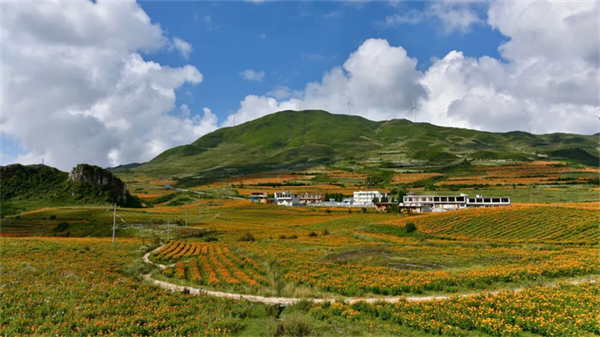 摄影作品 大赛 摄影大赛作品介绍