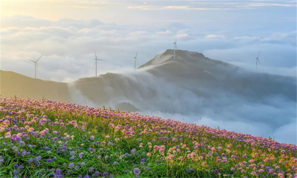 摄影作品 大赛 摄影大赛作品介绍